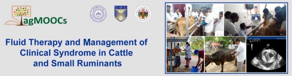 Fluid Therapy and Management of Clinical Syndrome in Cattle and Small  Ruminants | agMOOCs